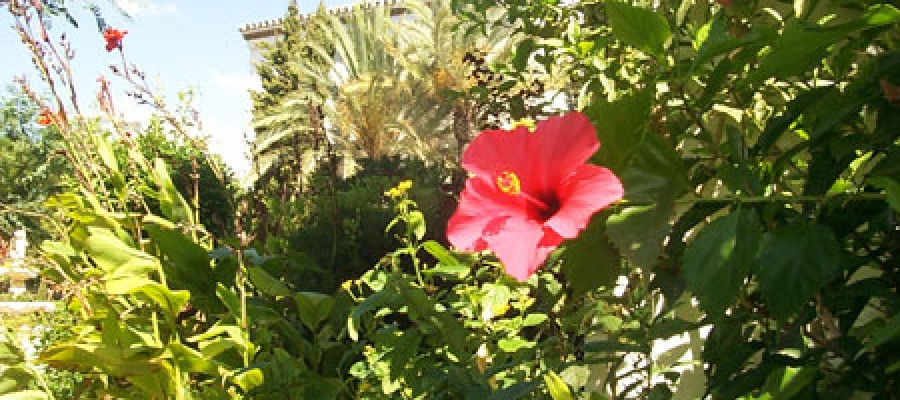 galeria-08-84.jpg
