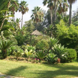 galeria-02-70.jpg