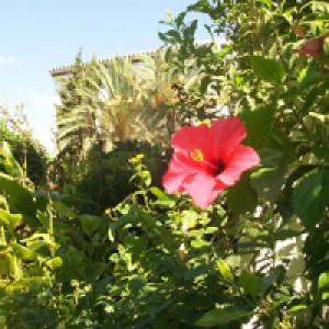 galeria-08-84.jpg