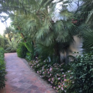 img-9043.jpg