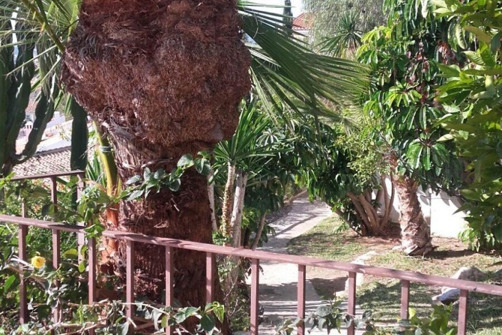 mirador-de-carvajal-3.jpg