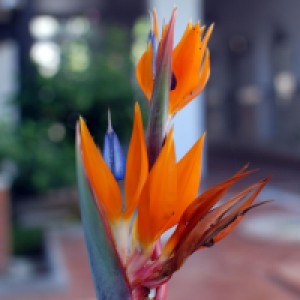 05.jpg