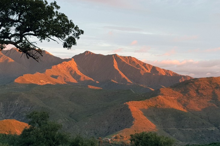 mountain.jpg