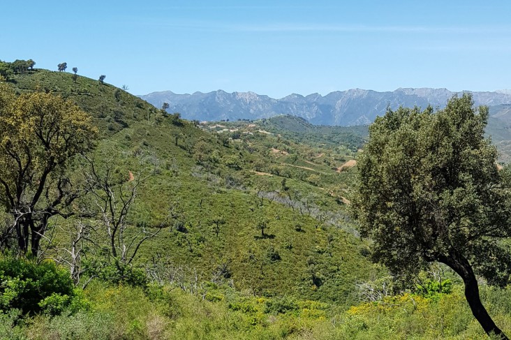 view.jpg